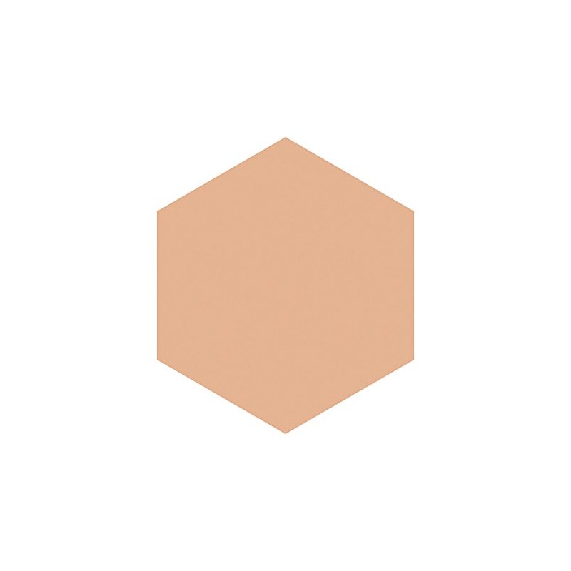 Integrate Gracy White Pact EX Limited 2-Piece Set Foundation, Unscented,