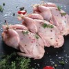 국내산 생지 메추리 20미(1.5kg내외) Domestic Fresh Quail Eggs 20 Pieces