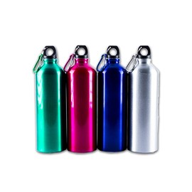 Home Master Metal Drink Bottle with Carabiner Clip, 750 ml Capacity, Pink/Blue/Silver/Green