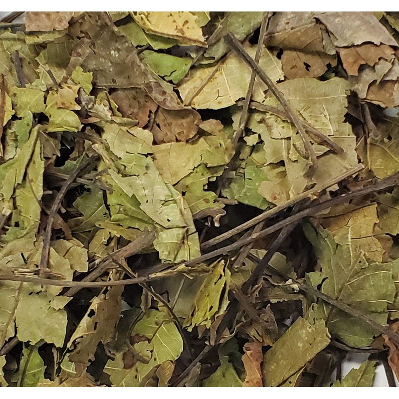 Black Walnut Leaves 4 Ounces-Bulk Bag-1/4 Pound-Juglans nigra-Mexican