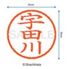 Shachihata Stamp Name 6 Correction Stamp XL - 6 Stamp