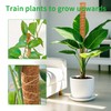 Dimpoo 48 Inch Moss Pole Monstera Plant Support, Coir Moss