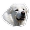 Magnet America Great Pyrenees Dog Magnet is 4.25" x 4.875"
