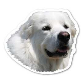 Magnet America Great Pyrenees Dog Magnet is 4.25" x 4.875" Made for Vehicles and Refrigerators