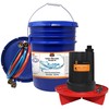 Chromex Tankless Heater Descaler Kit - Just Add Vinegar or