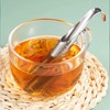 Tsathoggua Stainless Steel Tea Strainer, Tea Infuser for Loose Tea,