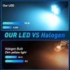GLOFE T10 194 168 Dash Instrument Ice Blue LED Light