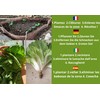 Snail Protection Copper Net 2.0 (10 m): 15 cm Height,