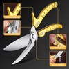 DRAGON RIOT Poultry Scissors, Removable, Heavy Duty Meat Scissors, Multi-Purpose