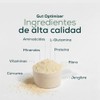Fort Core - Gut Optimizer Vegan Protein Powder | With