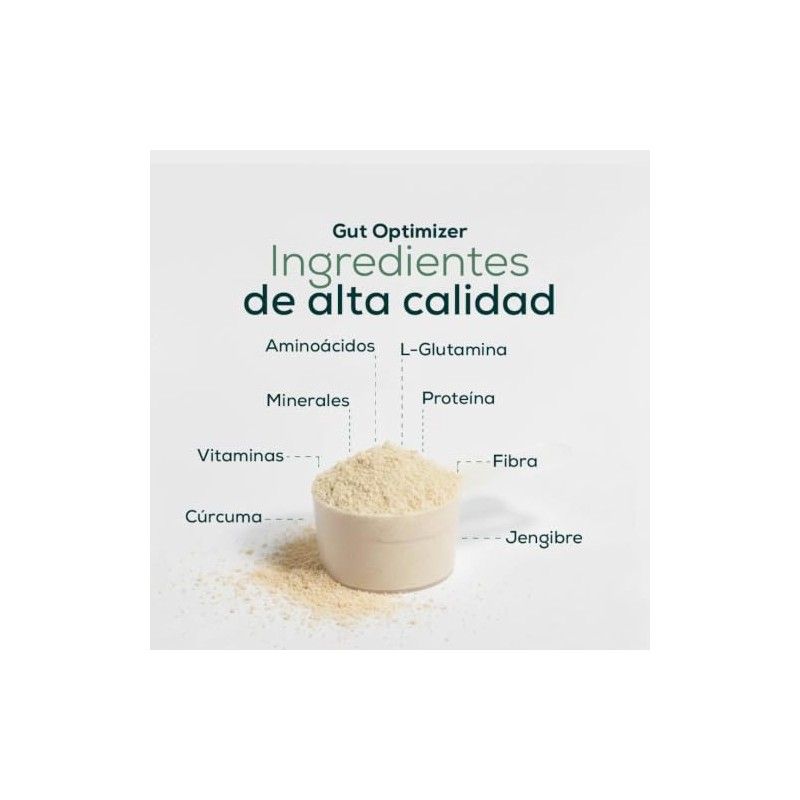 Fort Core - Gut Optimizer Vegan Protein Powder | With