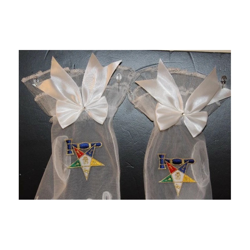 Masonic ( Eastern Star ) Past Matron Gloves