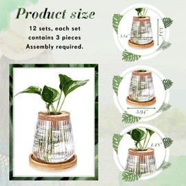 Baderke 12 Packs Propagation Vases for Plants Plastic Plant Propagation with Hole Lid and Bamboo Stand Growing in Water Hydroponic Home Office Desktop Vase Decoration