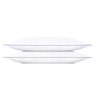 SILUI Extra Flat Soft Thin Pillows Standard Size Set of