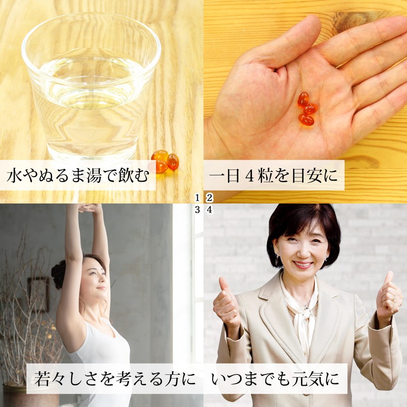 自然健康社 レシチン E球 90g×3個 大豆レシチン サプリ ビタミンE 小麦胚芽油 カプセル