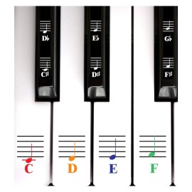 Qmg Color Piano And Keyboard Music Note Full Set Stickers For White An