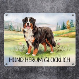 Bernese Mountain Dog in the Meadow Metal Sign in 15 x 20 cm with Saying Hund herum Glücklich Watercolour Design Shows Bernese Mountain Dog on Grassy Field