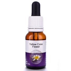 Living Essences Yellow Cone 100ml