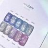 Divock Divok Slush Reflective Glitter Gel 10 Piece Set +