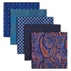 Shlax&Wing Pack of 5 Assorted Handkerchiefs for Men - Square