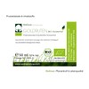Wellnest Organic Goldenrod Concentrate 50 ml (Kidney Blister Tonicum Solidago)