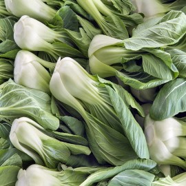 Axel's Garden Seeds Bok Choy Cabbage Seeds | Heirloom | Non-GMO | Fresh Garden Seeds - 200 Seeds