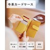 mieno Card Case, Large Capacity, Men's, Women's, Credit Card Slots,