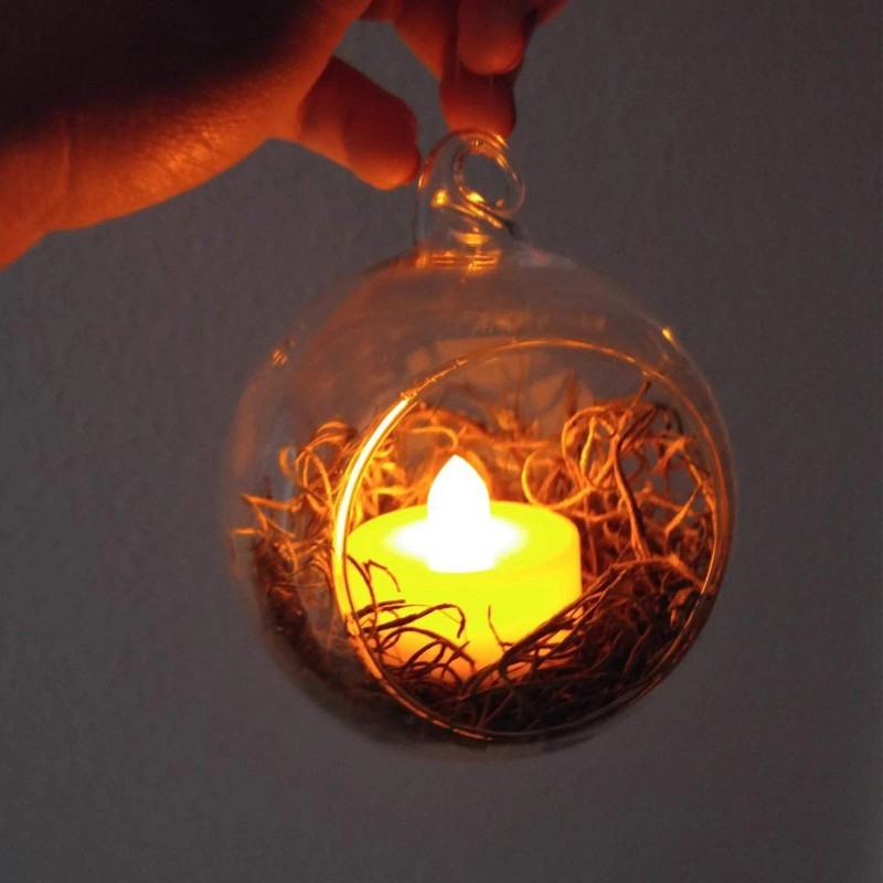 WGVI Clear Glass Terrarium Globe for Succulents Air Plants Candle