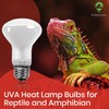 BULBMASTER Reptile Heat Lamp Bulbs - 50 Watts UVA Basking