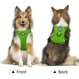 PoyPet Reflective Soft Breathable Mesh Dog Harness Choke-Free Double Padded Vest with Adjustable Neck and Chest(Grass Green,XS)