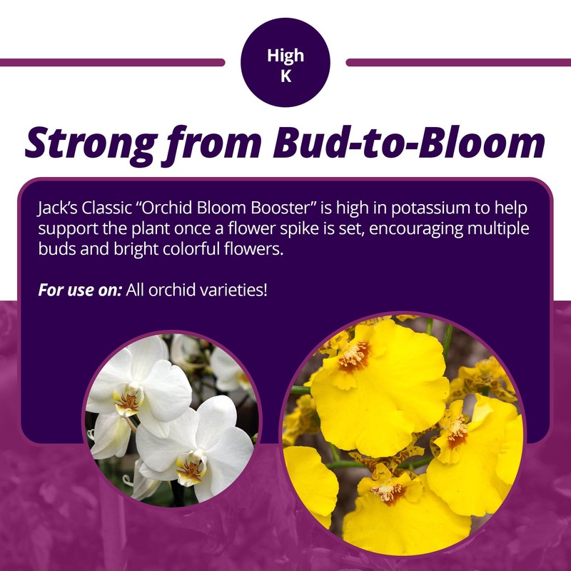 Jack's Classic 3-9-6 Orchid Bloom Booster Liquid Plant Food with