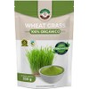 Wheatgrass orgánico en polvo 250g – alta fuente de clorofila y vitaminas