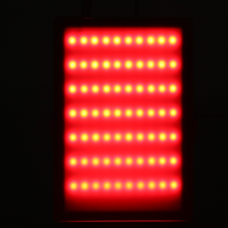 Photon Skin Rejuvenation Machine Red Blue Light Therapy Acne Removal