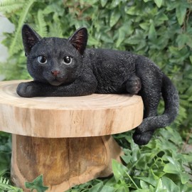 Vivid Arts - Laying Black Cat - XRL-DC61-D