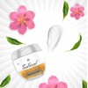 Teatrical Crema Aclarante Células Madre Rosa Blanca Que Trabajan Nivel