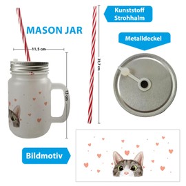 speecheese Cat Mason Jar with Handle Drinking Glass with Lid in Watercolour Style, Cute Glass for Cat Owners with Motif, Cute Pet Cat Lovers, Women, Hearts, Kitchen Accessories, Cat Motif