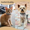 Medium Dog Collar for Male, Spiked Cat Collar Pu Leather