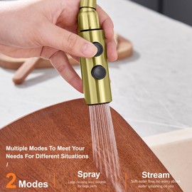 TIORIY Kitchen Faucet Head Replacement Metal, Pull Down Spray Head with 15 Adapters for Kitchen Faucet, 2 Function Kitchen Sink Spray Nozzle, Stainless Steel, Brushed Gold