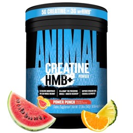 Animal Creatine HMB Powder – 3g myHMB + 5g Creatine with Electrolytes for Recovery & Daily Energy – Power Punch Flavor, 30 Servings
