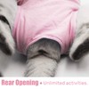 Cat Surgery Recovery Suit ValueHall Cat Surgical Recovery Suit E-Collar
