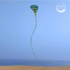 Gran Cometa De Cobra Para Niños Adultos Con Cola Superlarga