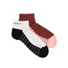 Champion Unisex-Adult Socks Seasonal (U20139) -Script Logo 2pp Performance Quarter,