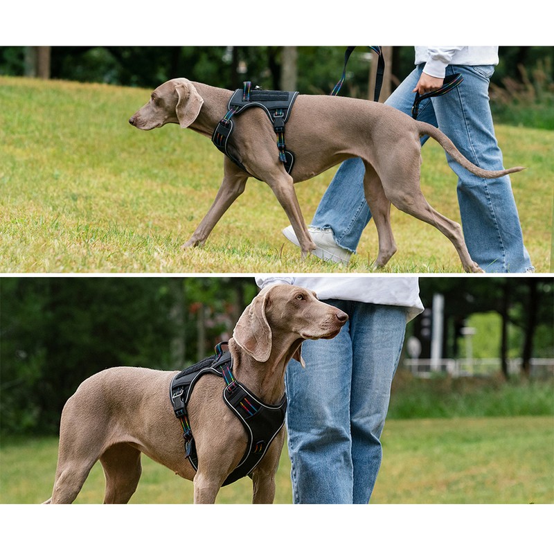 Tactical Dog Harnesses Adjustable Reflective Dog Vest with Handle Reinforced