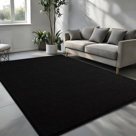Pettop Area Rugs for Bedroom Living Room, 5x7 Black Thickened Memory-Foam Indoor Carpets, Modern Aesthetic Minimalist Super Soft Comfy Carpet for Boys Girls Adults Room Dorm Home Decor