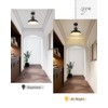 zeyu 11 Inch Semi Flush Mount Ceiling Light, 1-Light Industrial