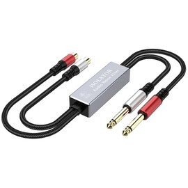 Audio Noise Filter Adapter:Dual 6.35mm 1/4" TRS Male to 2 RCA Female Ground Loop Isolator Audio Cable (Audio Cable 0.5 M)