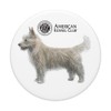 AKC Portuguese Podengo Pequeno PopSocket