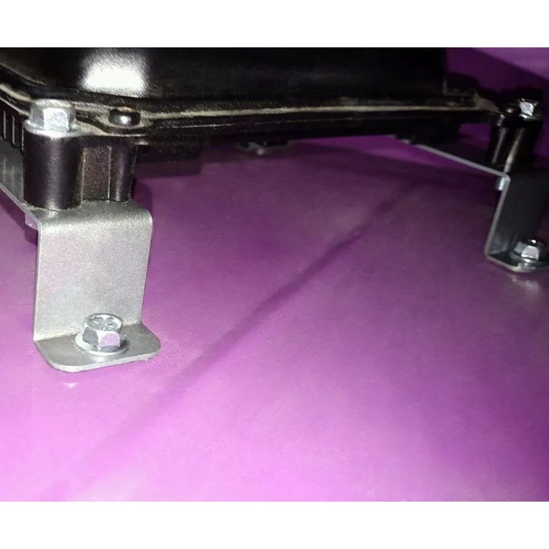 TDOG ECU and Fuse Box Brackets for FiTech Ultimate LS