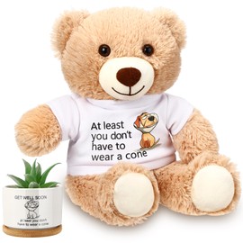 Blueweenly 13.8" Get Well Soon Bear with White T-Shirt, Mini Ceramic Succulent Planters Pots with Bamboo Tray, Stuffed Animals at Least You Don't Have to Wear A Cone Gifts for Women Man