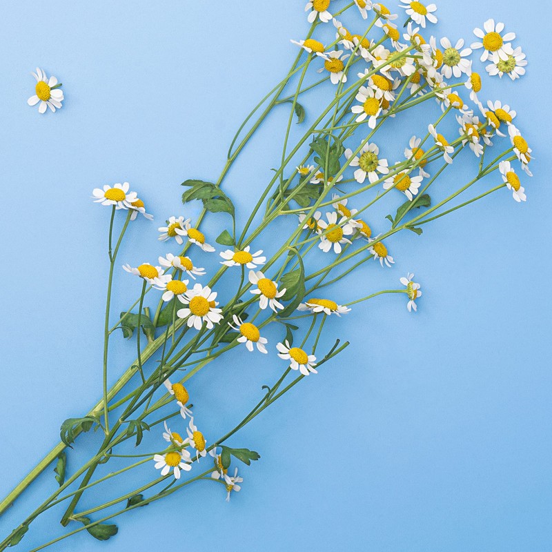 Bübchen, Baby Shampoo 200ml